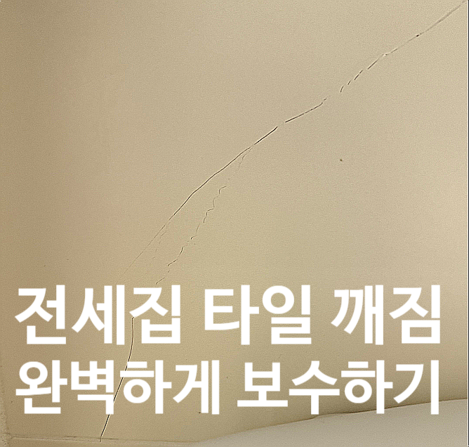  전세집 욕실 벽타일 깨짐 금간곳 보수하기