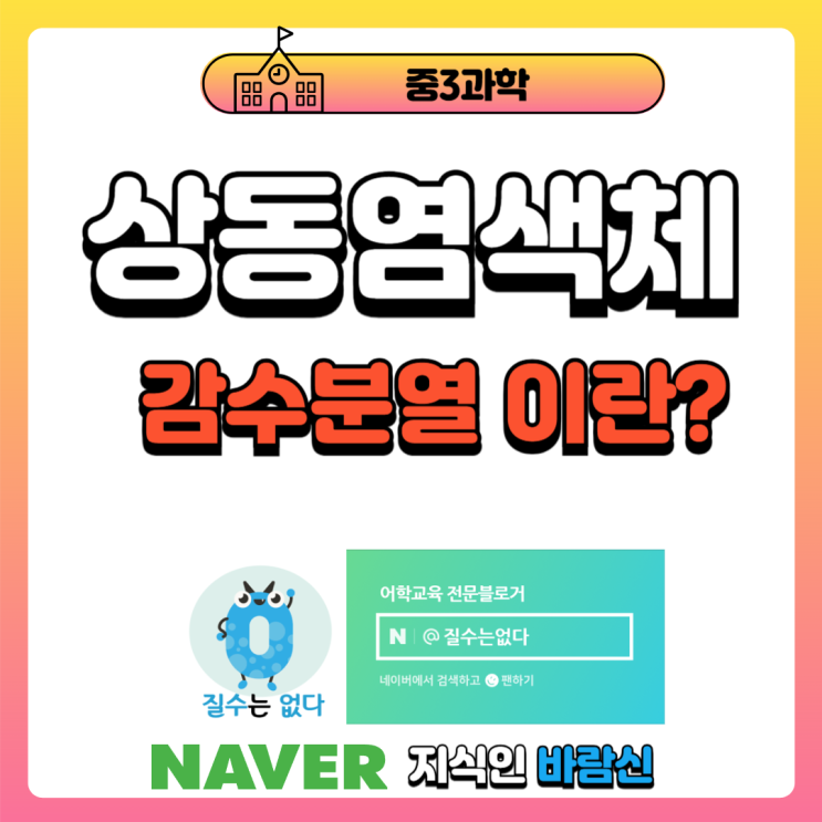  상동염색체, 감수분열 중학수준 설명[중3과학]