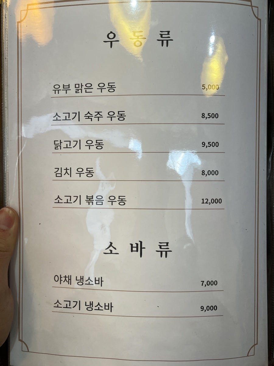 천송화 사진 6