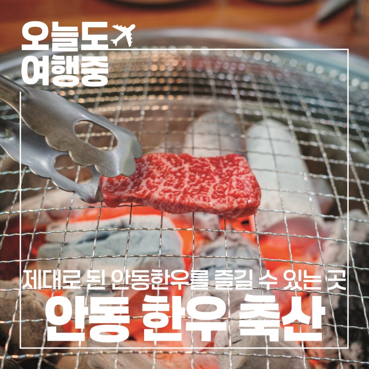  [안동 맛집] 육즙 팡팡! 직접 고른 갈비살, 한우 축산 식육식당