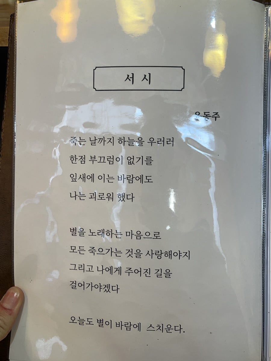 천송화 사진 3