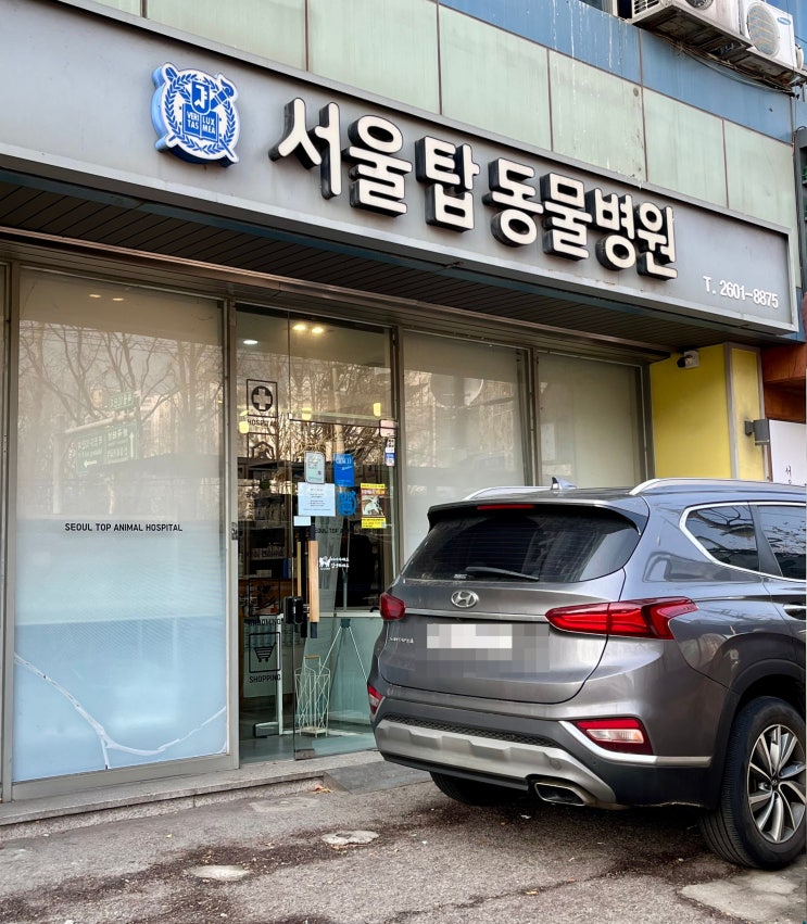  화곡동 강아지 건강검진 동물병원, 목동 서울탑동물병원 방문 후기
