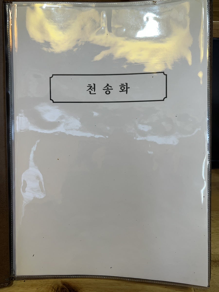 천송화 사진 2