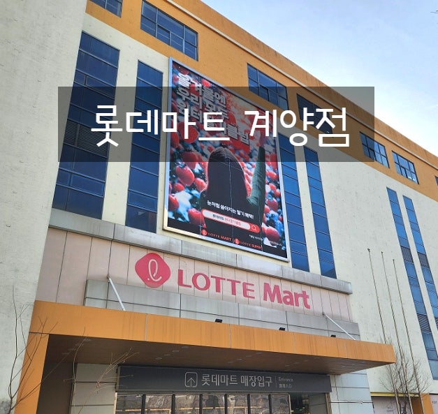 롯데마트 계양점 문화센터 다이소 휴무일
