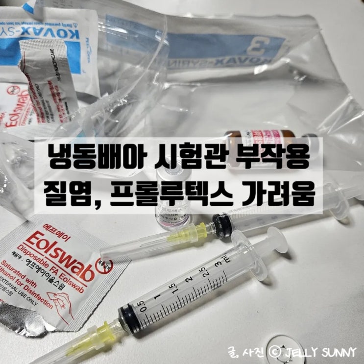  냉동4일배아 시험관 질염 프롤루텍스 부작용 연고, 처방약