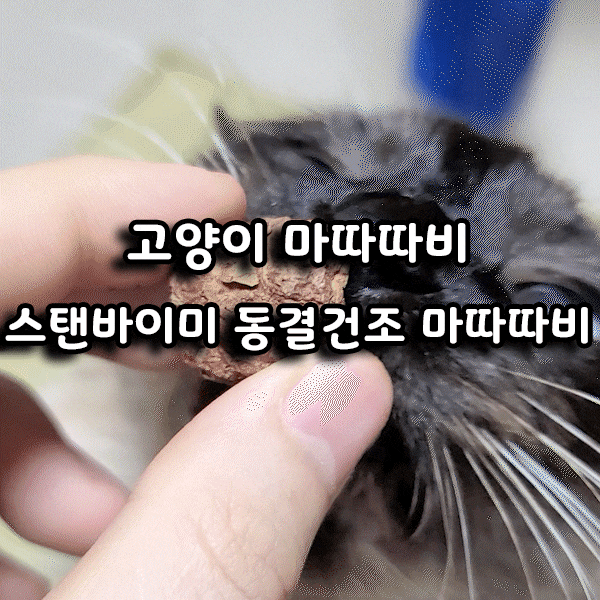  냥집사가 추천하는 스탠바이미 동결건조 마따따비 솔직후기