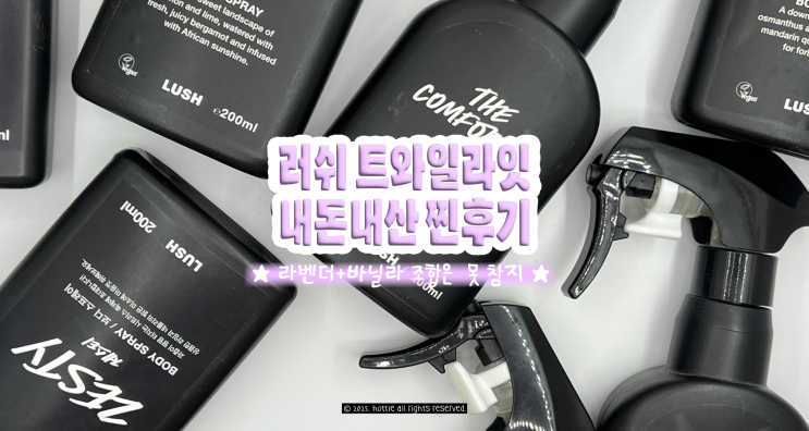  러쉬 트와일라잇 바디스프레이 내돈내산 찐후기! 출구는 없음
