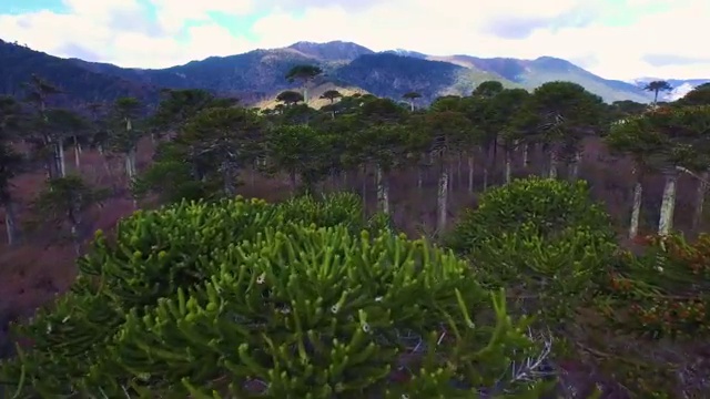  가을에 딱! 근교 드라이브 코스 추천