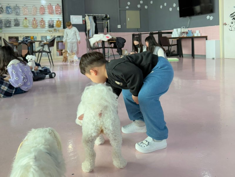 사진 3
