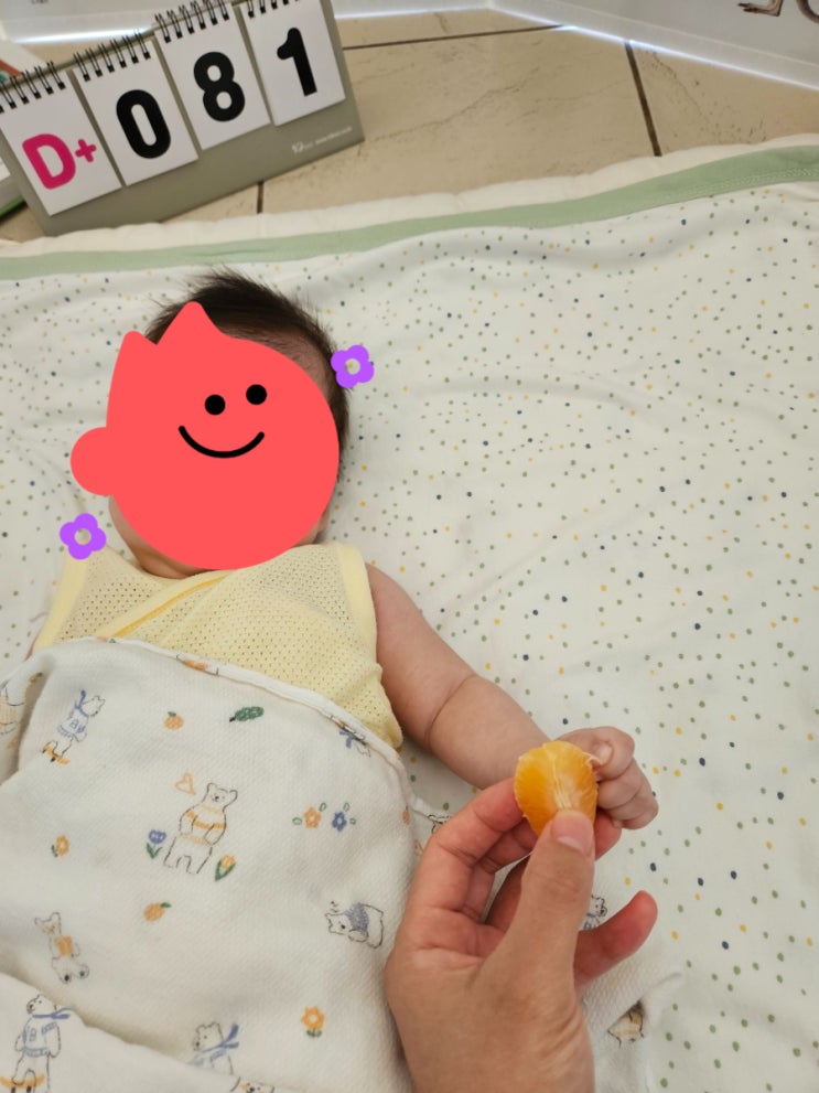  [육아일기] 원더윅스 매운맛 12주차