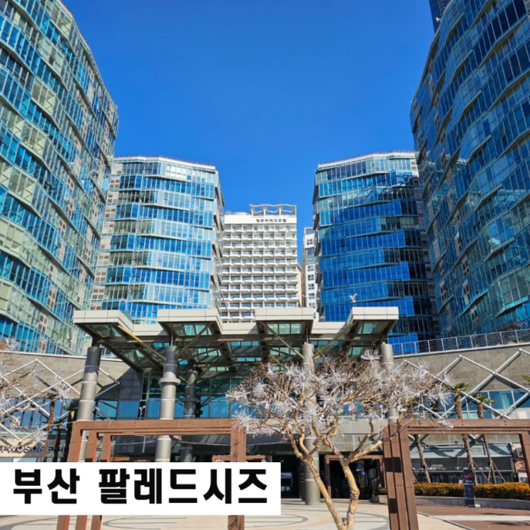  해운대 온돌 숙소 팔레드시즈 로얄스위트 부산 아이랑 실내 가볼만한 곳 해운대시장 먹거리