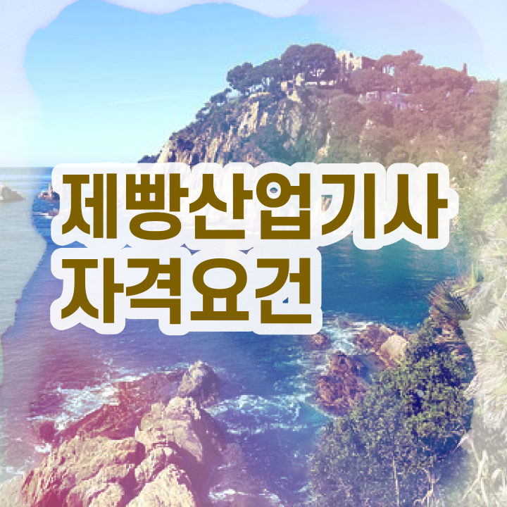  제빵산업기사 응시조건 독학으로 간편하게 성공한 방법