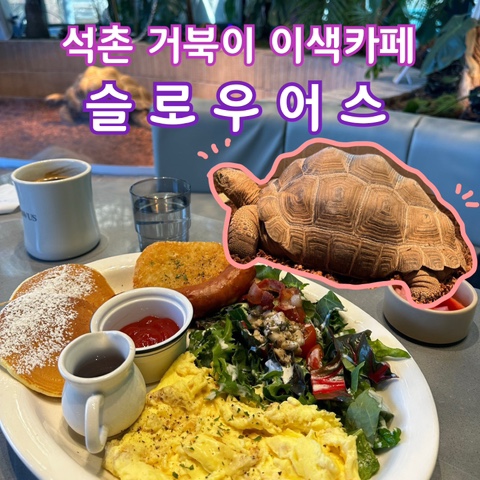  석촌호수에서 엉금엉금 거북이와 즐기는 브런치! ‘슬로우어스’ 