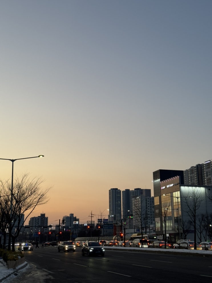  2월 둘째주 냐암의 일상 몰아보기