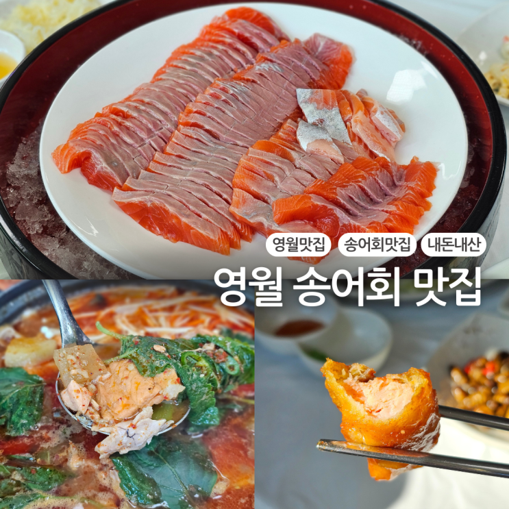  영월 맛집 내돈내산 또간집 송어회맛집:: 옥동양어장횟집