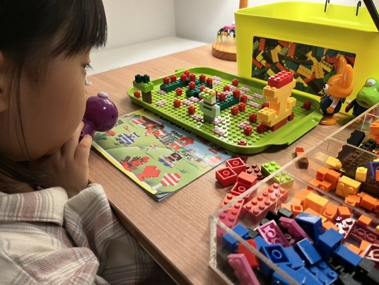  에브리휠 레고 호환 블럭 1000피스 후기! 창의력 쑥쑥, 정리도 간편한 가성비 장난감