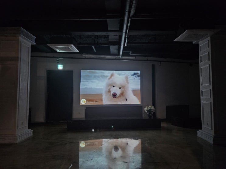  애견동반호텔  펫리퍼블릭  추천해요~