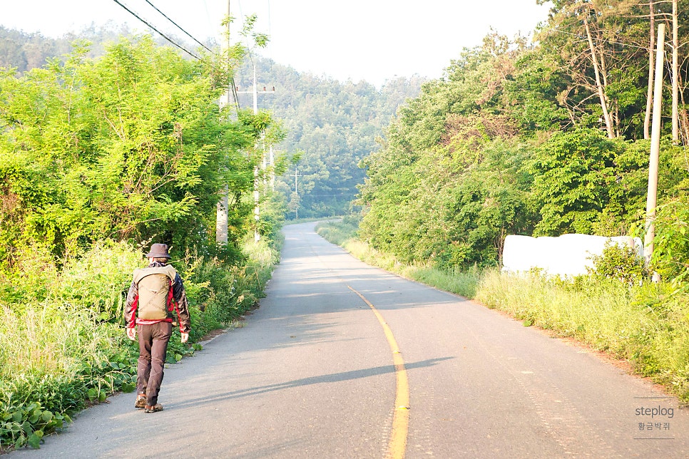 대월제 사진 7