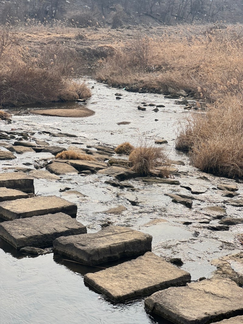 사진 2
