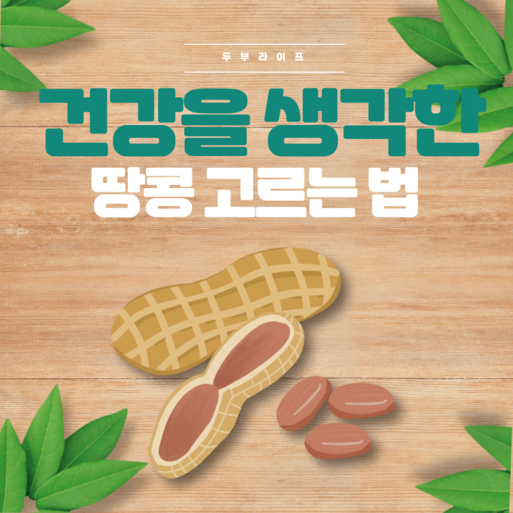  건강을 생각한 땅콩 고르는 법 불포화지방 레시틴 아미노산 아나필락시스 알레르기 항산화 고칼로리 땅콩버터 구운땅콩 튀긴땅콩 볶은땅콩 삶은땅콩