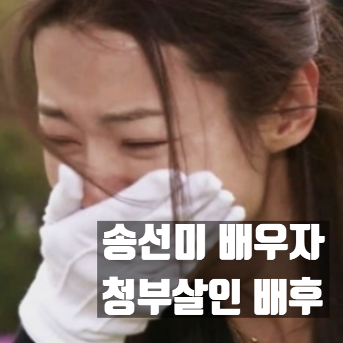  송선미 배우자: 남편 청부살인 배후자 지목! 범인 따로있다!