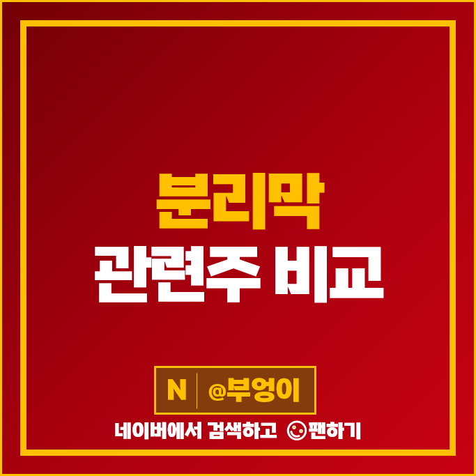 2차전지 분리막 관련주 SK아이이테크놀로지 더블유씨피 주가 에코프로 주식 2차전지 분리막 관련주 SK아이이테크놀로지 더블유씨피 주가 에코프로 주식