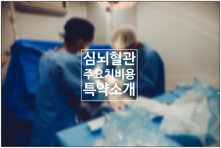  심뇌혈관주요치료비용 특약 소개