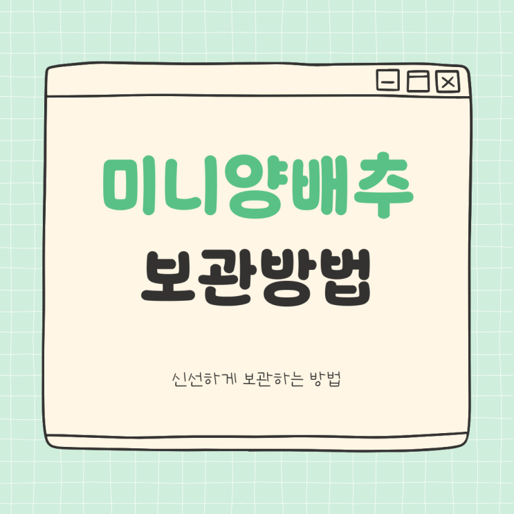  미니양배추 보관? 냉장&냉동 모두 OK! 신선하게 보관하는 방법