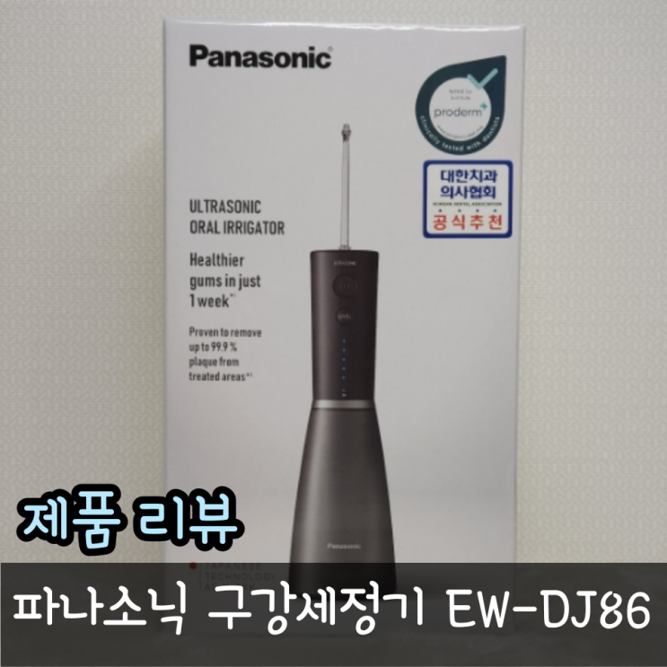  물치실 추천, 파나소닉 구강세정기 EW-DJ86