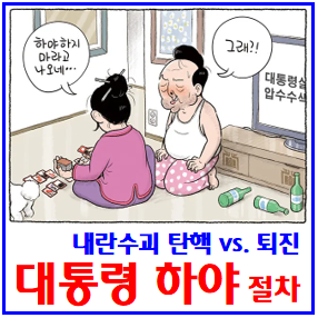 대통령 하야 (ft. 탄핵·퇴진 차이) : 뜻, 연금, 윤석열, 절차, 가능성, 조건, 선거, 변호인단, 김건희문자, 조태용, 조갑제, 중대결심, 사퇴, 국민변호인단, 김계리