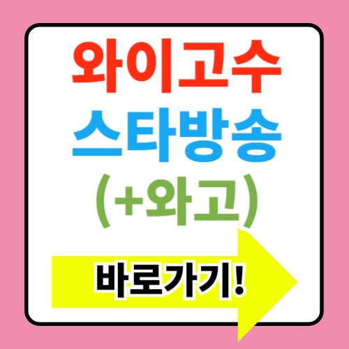  와이고수 스타방송 바로가기 온라인 종합 커뮤니티 사이트 리뷰