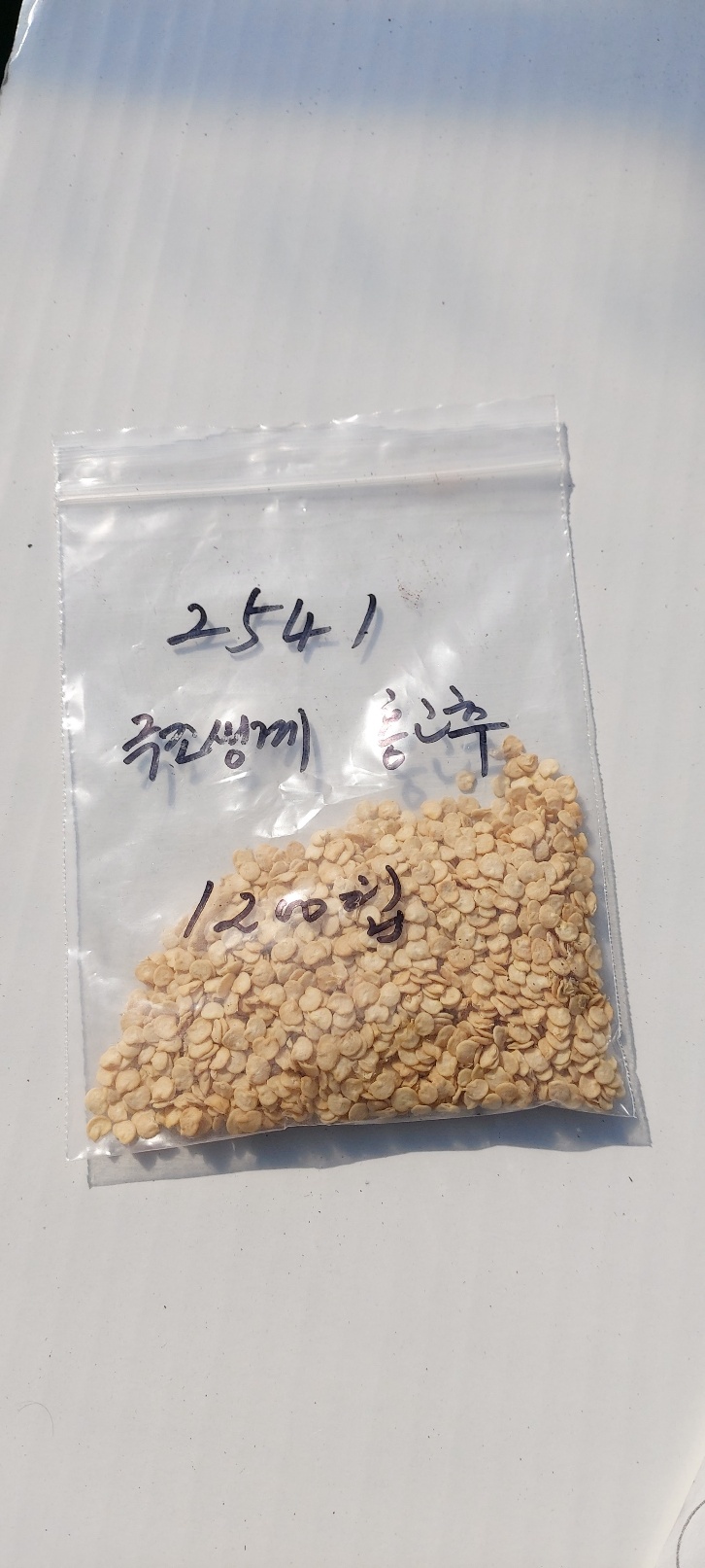  고추시험포재배란..