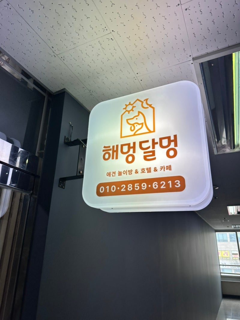 사진 10