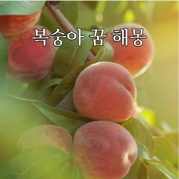 복숭아 꿈 해몽 태몽