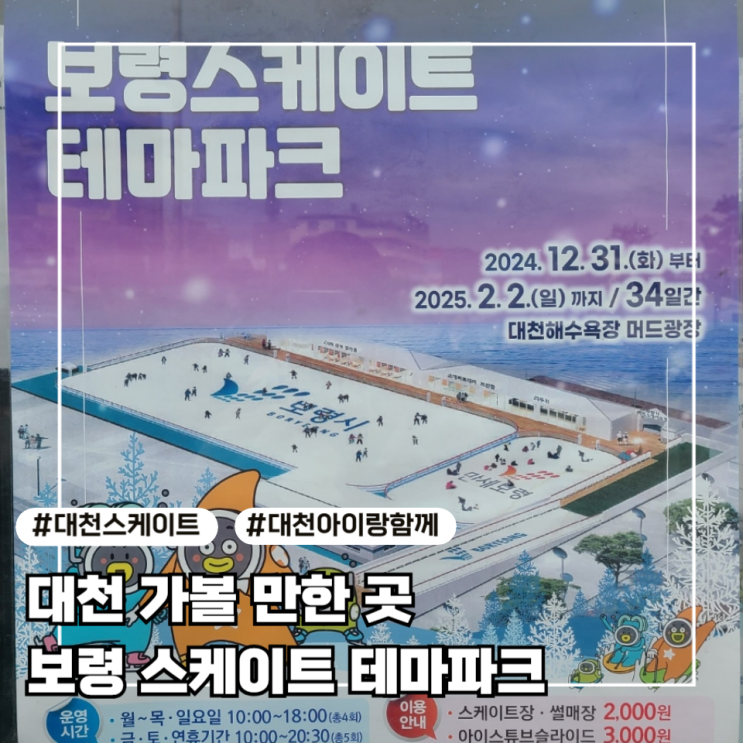  [대천 여행] 아이랑 가기 좋은 보령 스케이트 테마파크  24.12.31-25.2.2