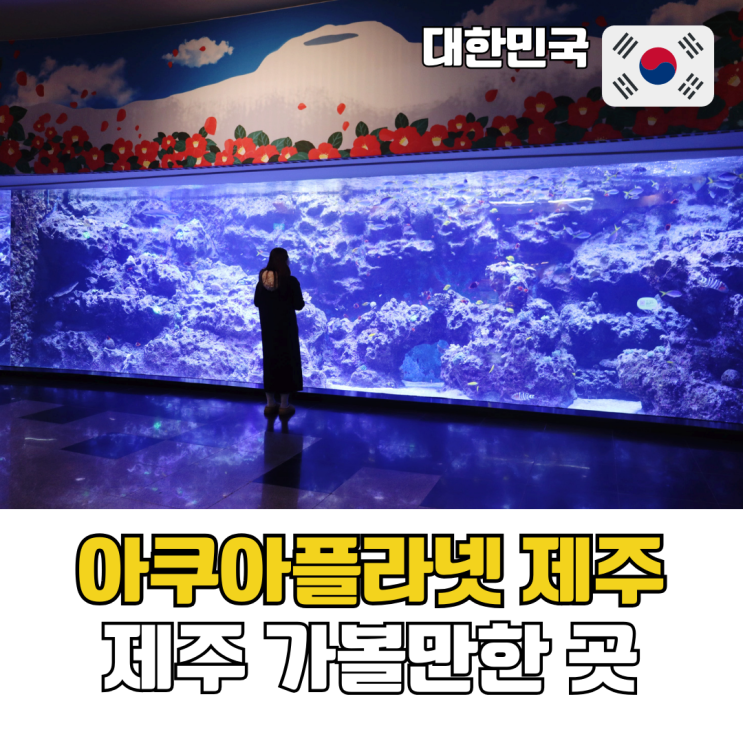  제주 서귀포 가볼만한 곳 제주도 동쪽 실내관광지 아쿠아플라넷 오션아레나