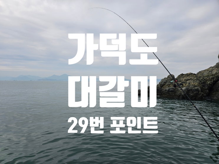 가덕도 대갈미 29번 포인트 감성돔 낚시 2025. 2. 15.