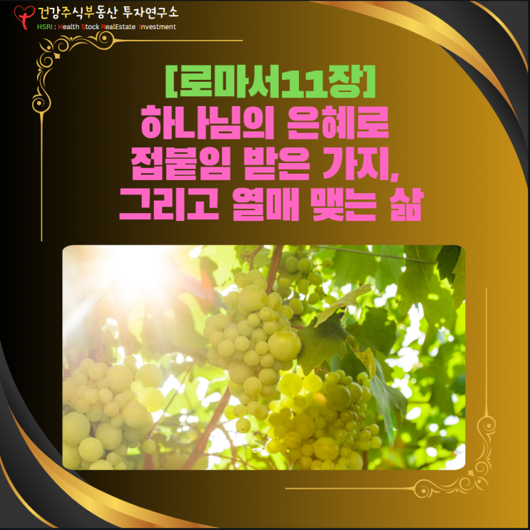 마음 건강 - 하나님의 은혜로 접붙임 받은 가지, 그리고 열매 맺는 삶[로마서 11장]