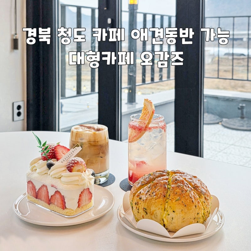 사진 8