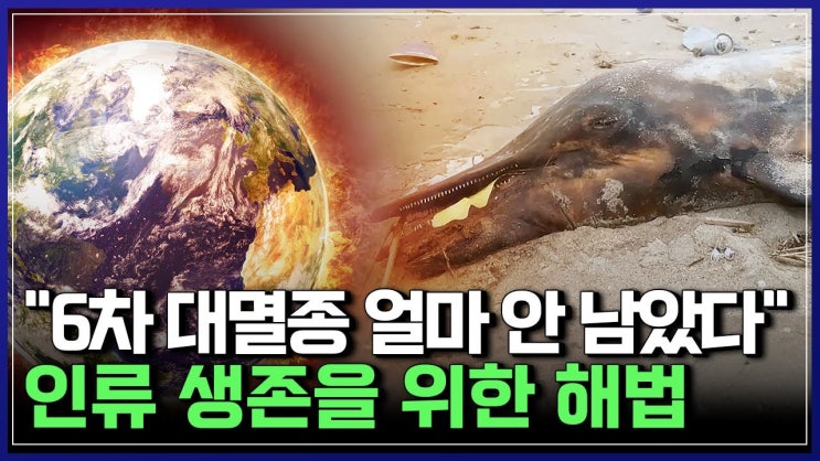"6차 대멸종 얼마 안 남았다"인류 생존을 위한 해법 "6차 대멸종 얼마 안 남았다"인류 생존을 위한 해법