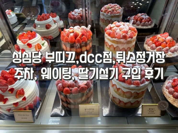  성심당 케익부띠끄, dcc점, 튀소정거장 주차장 주말 웨이팅 시간 딸기설기 구입 후기