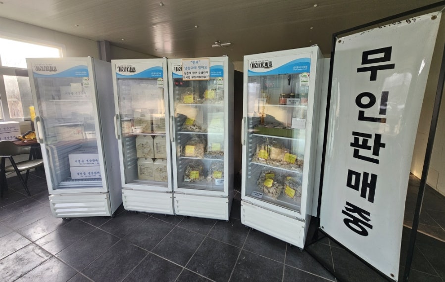 서당골 사진 2