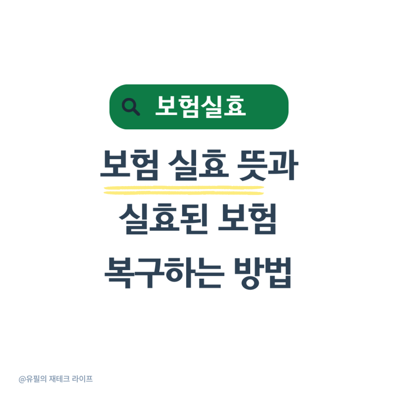 보험료 실효 뜻과 부활하는 방법