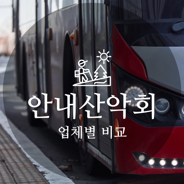  좋은사람들·다음매일·반더룽: 3대 안내산악회 비교