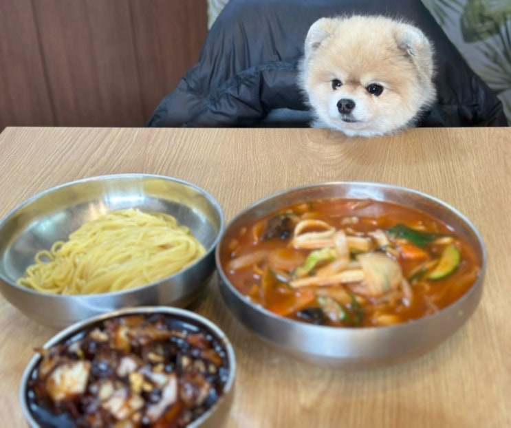  군산 고추짜장 맛집 지린성 애견동반 #와니디저트카페