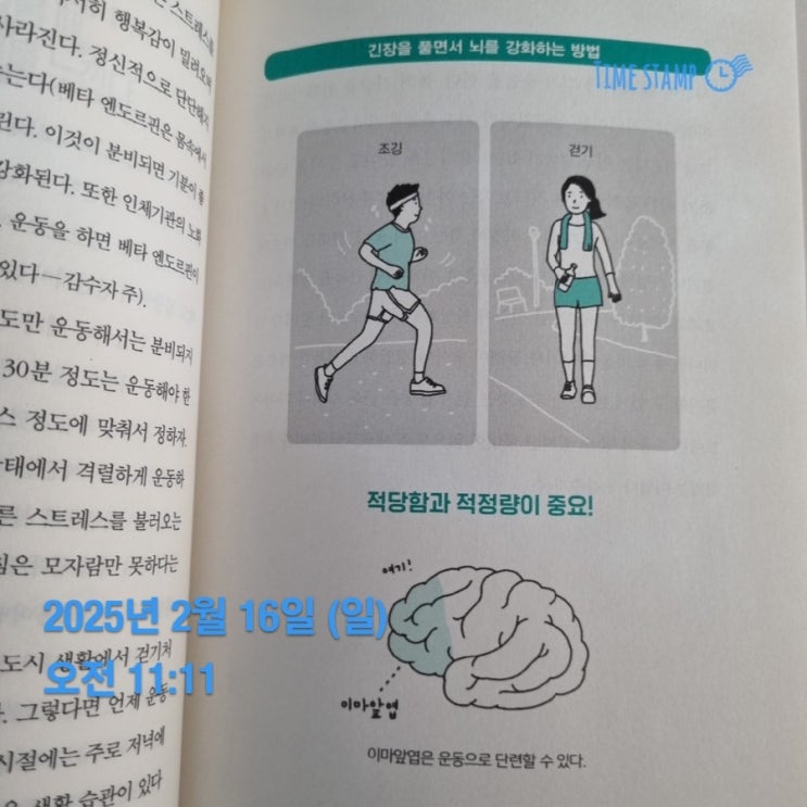  필사 아침의재발견