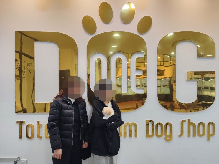  중2 아들과 말티푸 첫만남 ,  세종시 강아지분양 원독 애견분양 센터 추천