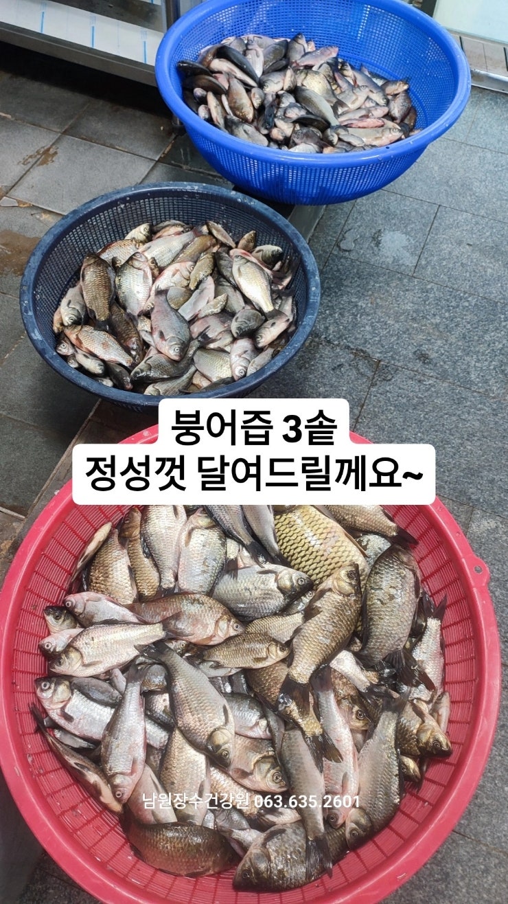  붕어즙 영양성분과 효능 만드는 법 남원 장수건강원
