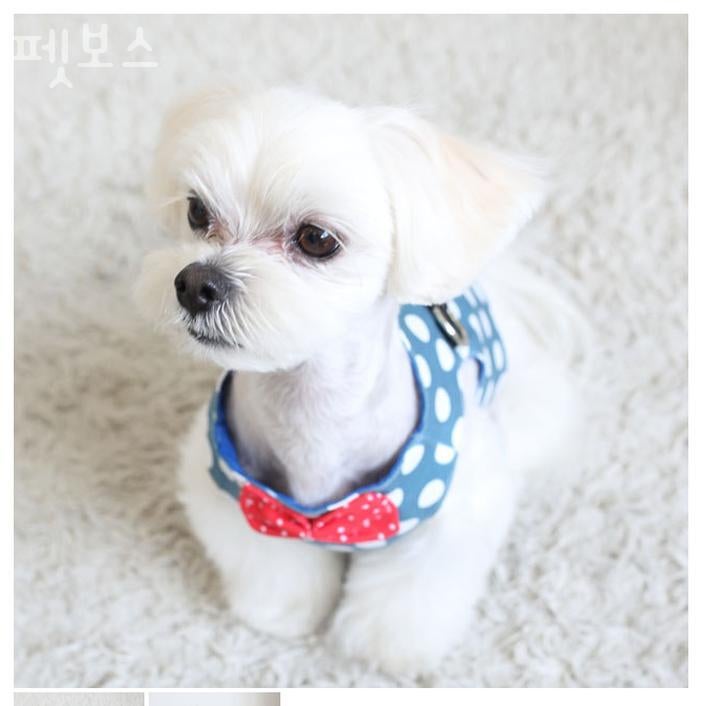 사진 3