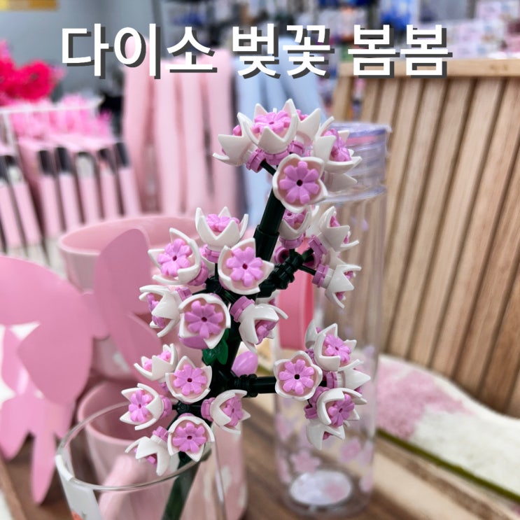  벚꽃블록 다이소 봄봄 신상 제품 가격 말랑핏 핑크